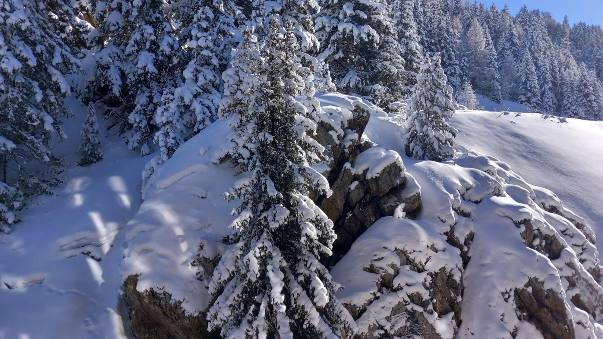Plagne Bellecote Apartments La Plagne Dış mekan fotoğraf